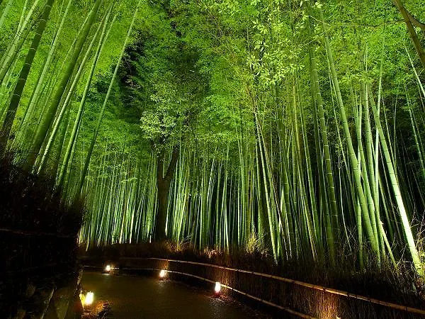 Hotel Excellence Enmachi Ekimae Kyoto Japan